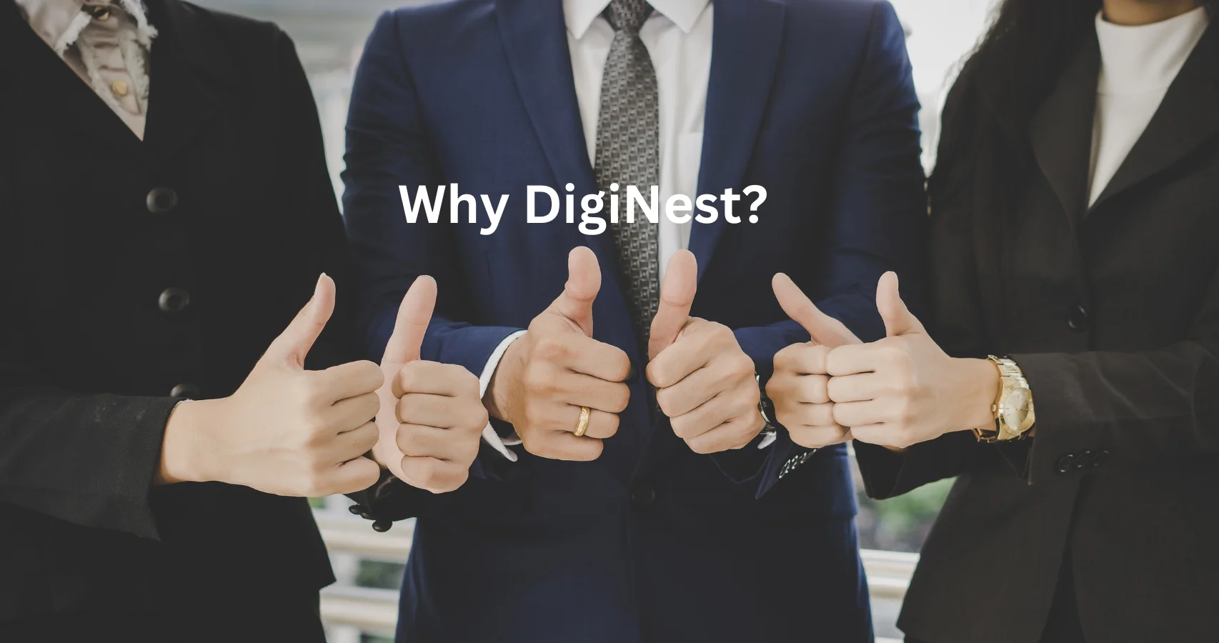 Почему DigiNest?