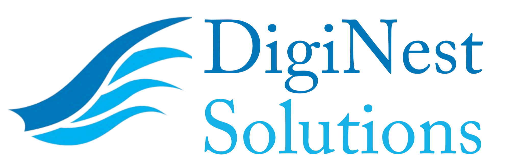 DigiNest Solutions (3) – Edited