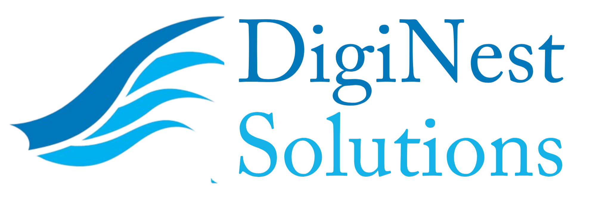 DigiNest Solutions (40) – Edited